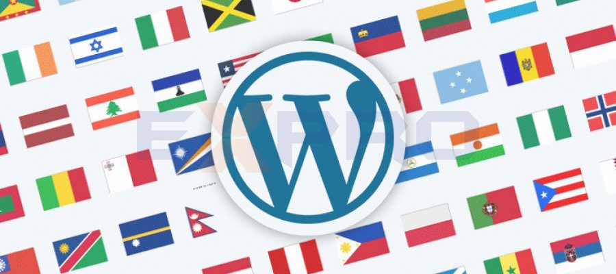 Bật mí cách tối ưu website đa ngôn ngữ thân thiện công cụ tìm kiếm